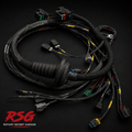 RSG custom Plug and Play engine wiring harness